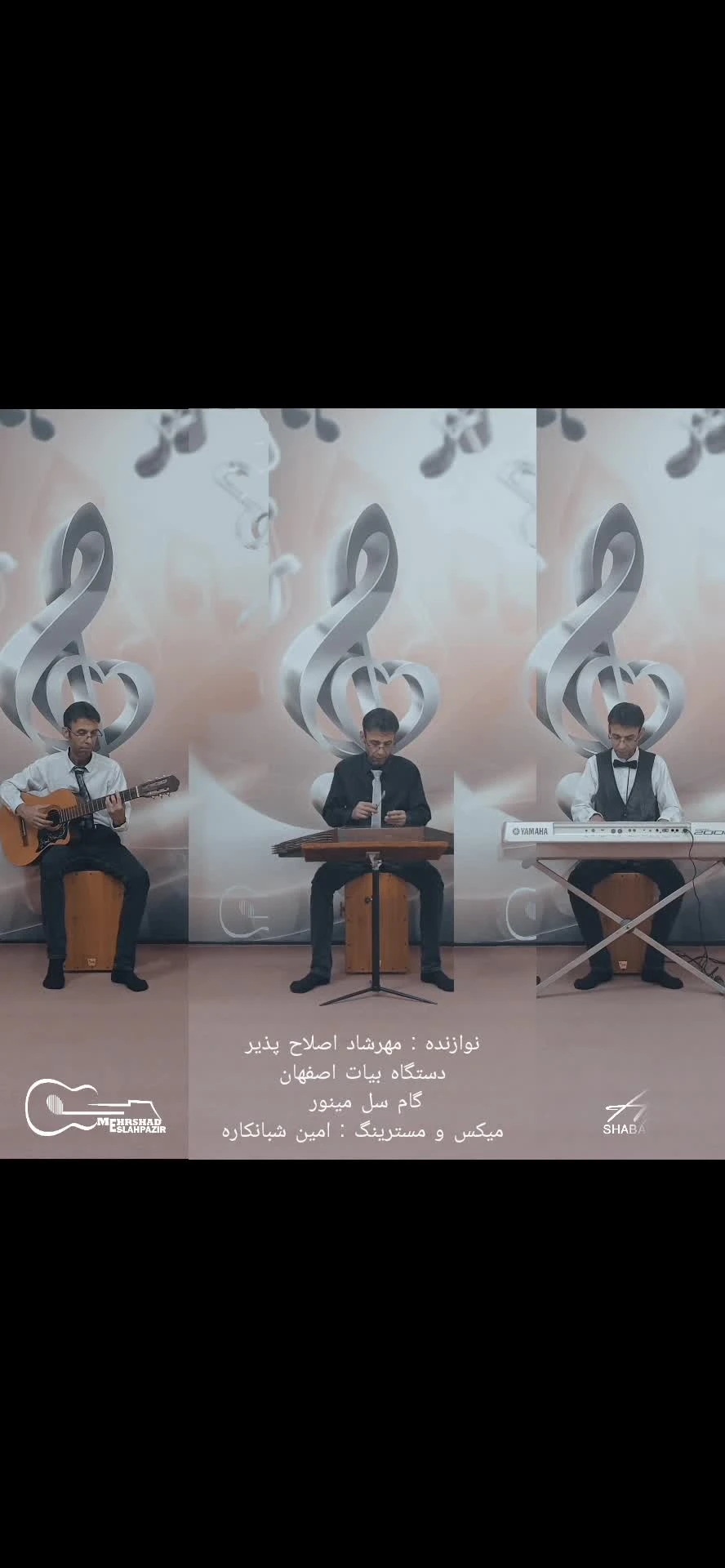 کلیپ زیبای اجرای چند ساز  مهرشاد اصلاح پذیر