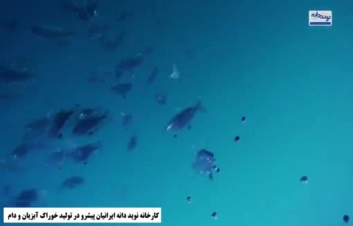 خوراک آبزیان