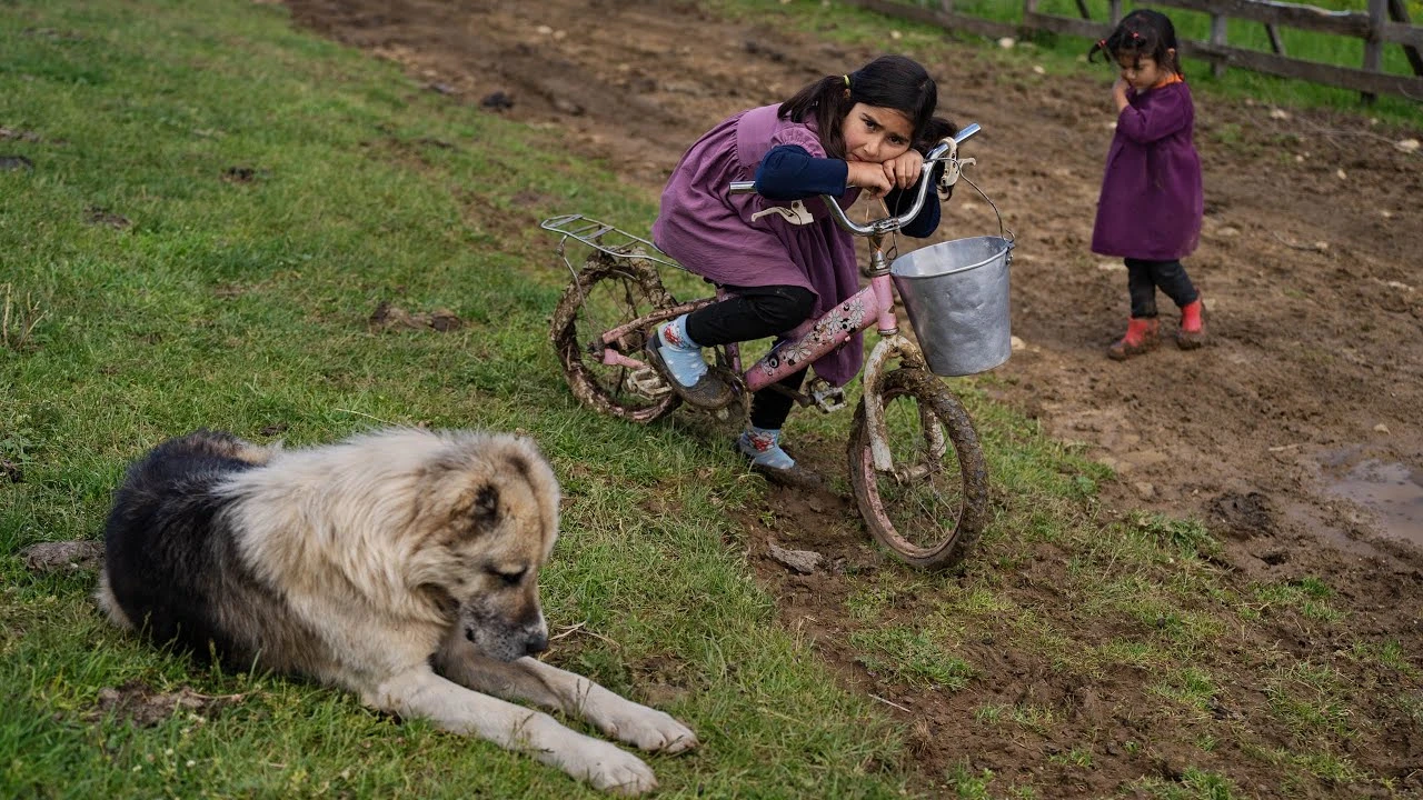 زندگی روستایی در مرتع مرتفع ایران