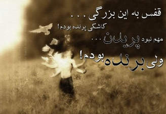 پرنده های قفسی سیاوش قمیشی 