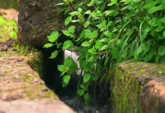 موسیقی آرامش بخش به نام زلال