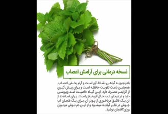 گیاهی با هزار و یک خاصیت و گیاه محبوب ابوعلی سینا