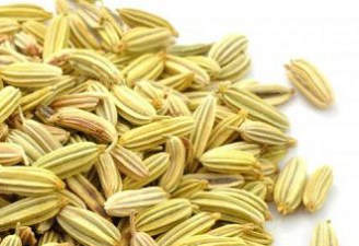 خواص دارویی گیاه رازیانه