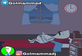 گل ممد خواب نصف شب