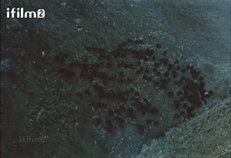 سکانس های به یاد ماندنی یک تکه نان
