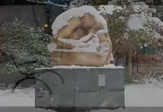 دکلمه زیبای برف نو سلام احمد شاملو