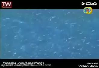 باب اسفنجی
