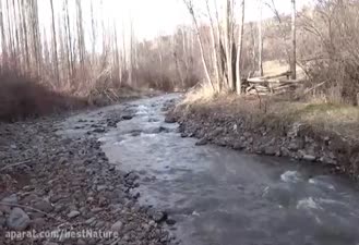 آهنگ زیبای محبت ایرج خواجه امیری