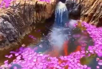 یکم حس خوب 