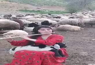 سادگی ، اصالت و زیبایی 