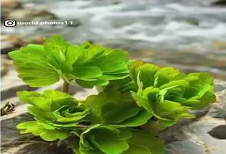 یکم حس خوب آرامش 