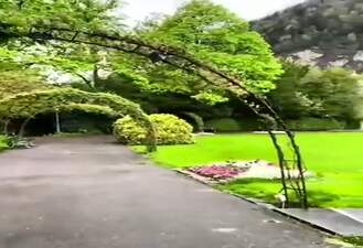 پیچک - راغب 