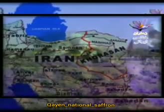 وضعیت زعفران ایران در جهان