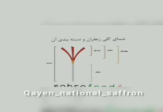 انواع مختلف زعفران انواع مختلف زعفران چیست