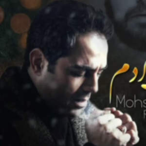 Mohsenmoradi_fan