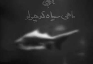 آهنگ ماهی سیاه کوچولو محسن چاوشی