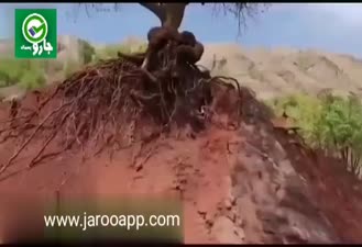 حفظ محیط زیست ، تزریق روح تازه و با نشاط به زندگیست.