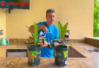 برنامه کودک ناستیا / چالش 24 ساعت در چادر  