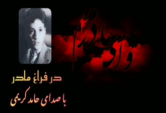 دشتی خوانی حامد کریمی