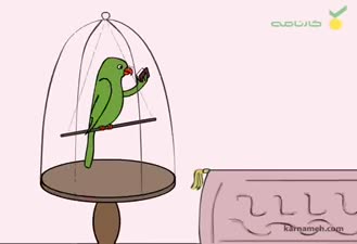 انیمیشن سوریلند / داستان‌های کهن / طوطی و بازرگان
