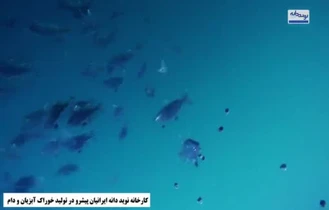 خوراک آبزیان