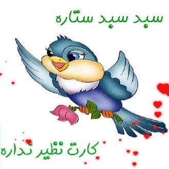 سبد سبد ستاره کارت نظیر نداره 👏🏻👏🏻😲😯😃🙂