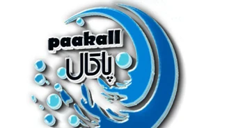 کارخانه پودر لباسشویی