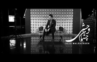 رضا ملک زاده - چشمان وحشی