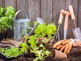 آموزش باغبانی گل و گیاه
