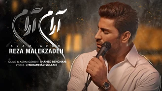 آهنگ آرام آرام رضا ملک زاده