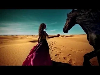 آهنگ رز کویری  DESERT ROSE استینگ