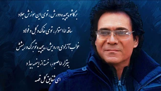 آهنگ شقایق اندی