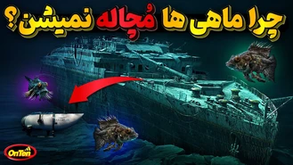فشار اعماق اقیانوس چرا ماهی ها مچاله نمیشن ؟