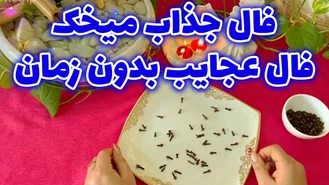 فال جذاب میخک فال عجایب بدون زمان