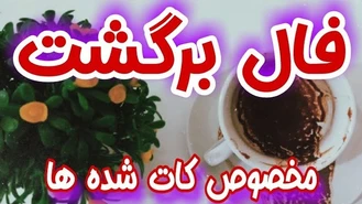 فال کات شده ها فال بازگشت