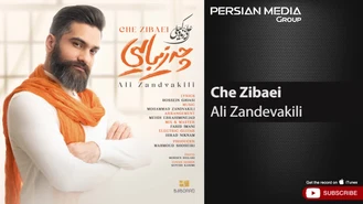 آهنگ چه زیبایی علی زند وکیلی