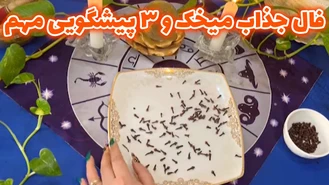 فال جذاب میخک و 3 پیشگویی مهم