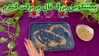پیشگویی بزرگ فال پربرکت گندم