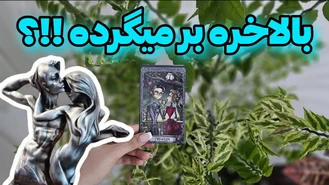 اصلا میخواد برگرده ؟ حقیقت رو میخوای بدونی ؟