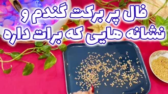 فال پر برکت گندم و نشانه هایی که برات داره