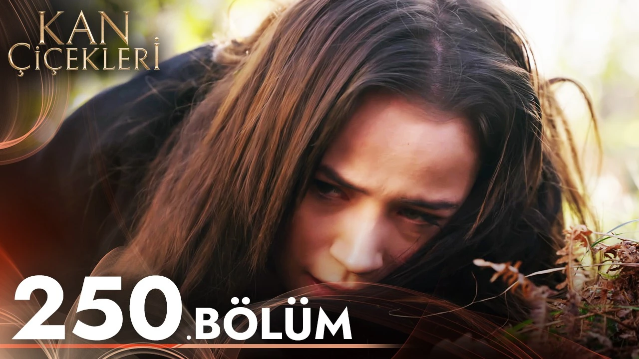 سریال گلهای خونی قسمت 250 زیر نویس فارسی