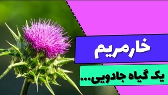 خواص گل خار مریم چیست ؟