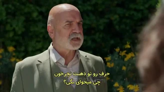 سریال زندگی باشکوه من قسمت 25 , 3 زیر نویس