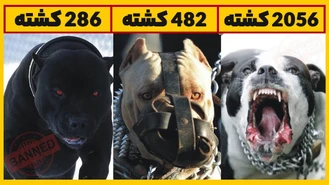 خطرناک ترین سگ هایی که خرید آنها ممنوعه