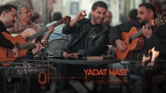 آهنگ جدید یادت هست رضا ملک زاده