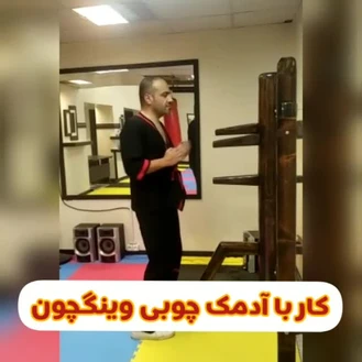 آموزش کار با آدمک چوبی