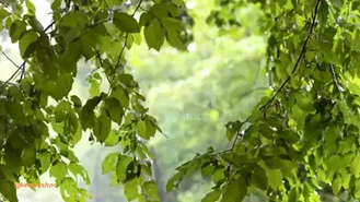 دعای طلب باران