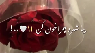 کلیپ ولنتاینی تبریک به عشق
