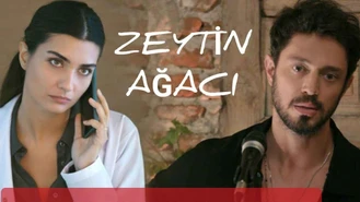سریال ترکی درخت زیتون با زیرنویس فارسی قسمت 6 پارت 1