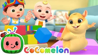 کارتون کوکوملون / فرار همستر از پیچ و خم شگفت انگیز هزارتو! 🐹 